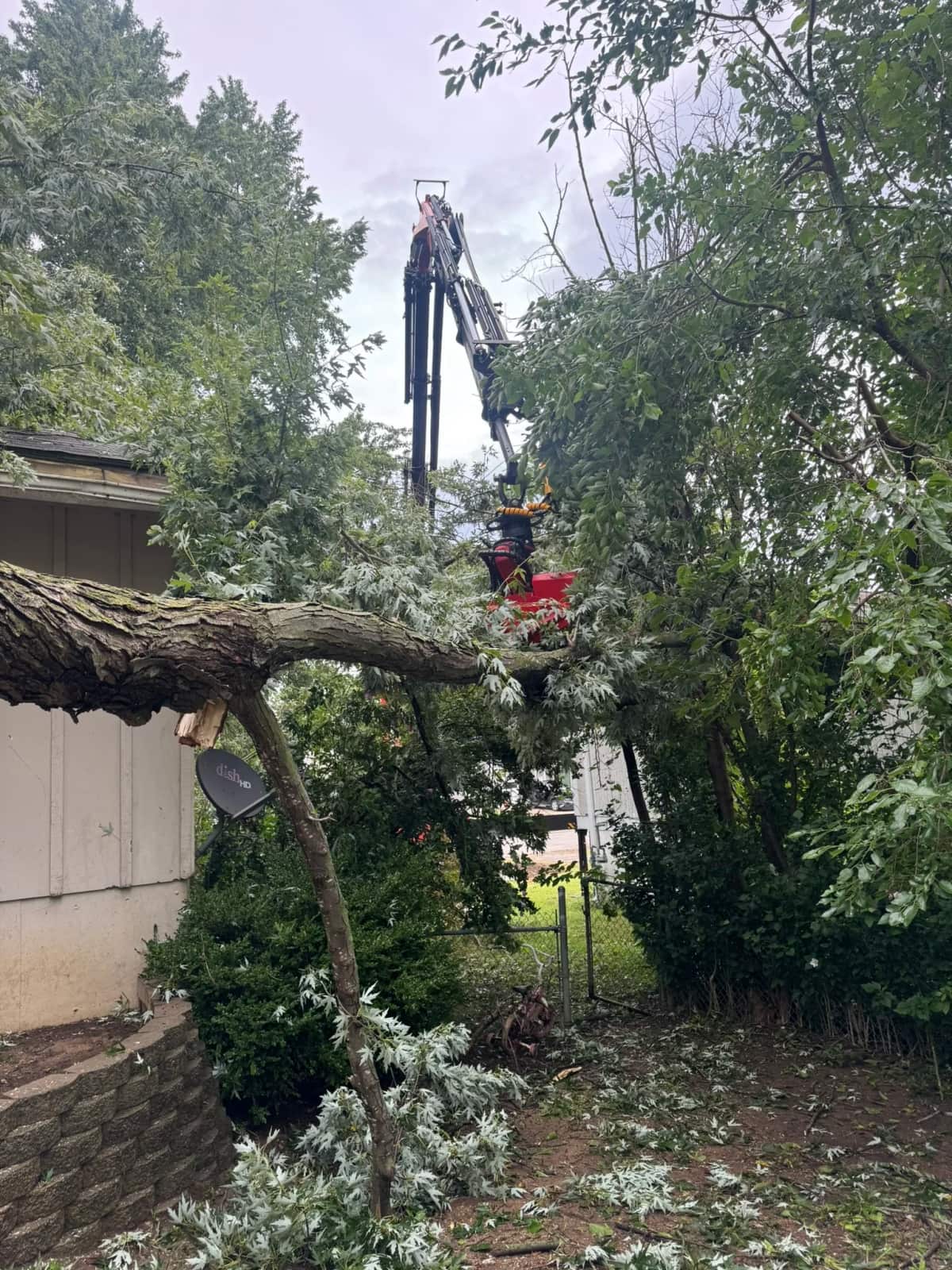 Completed tree work by Hill Tree Service in Kansas City
