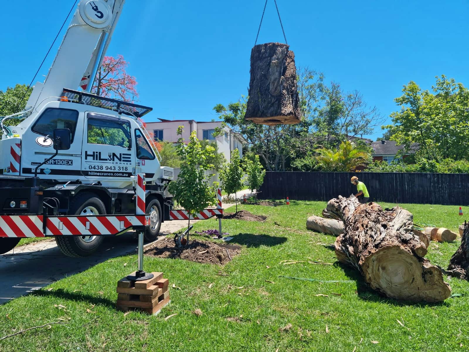 Crane-assisted tree service with Tree-Mek equipment