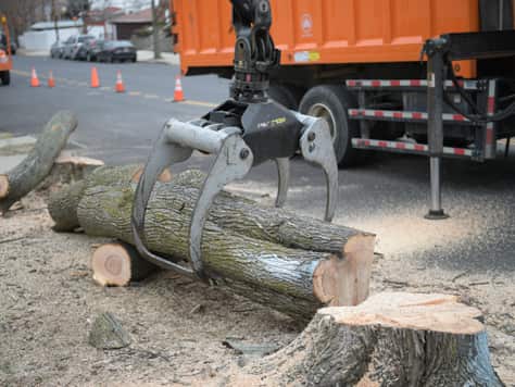 Disaster relief tree cleanup in Missouri