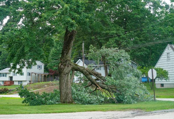 24/7 emergency tree response in Kansas City